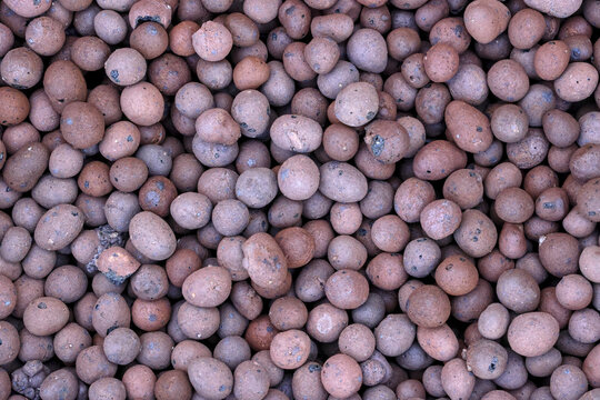 Baked clay pebbles, balls. Lightweight aggregate. Popular gardening, landscaping ground cover and growing medium. Porous structure, air content, water drainage, preventing soil compaction