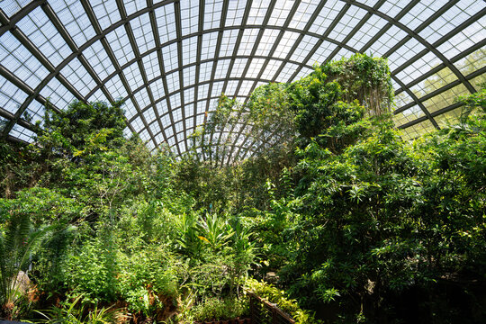 a picture of the Natureland outdoor garden area within Entopia by Penang Butterfly Farm in Malaysia