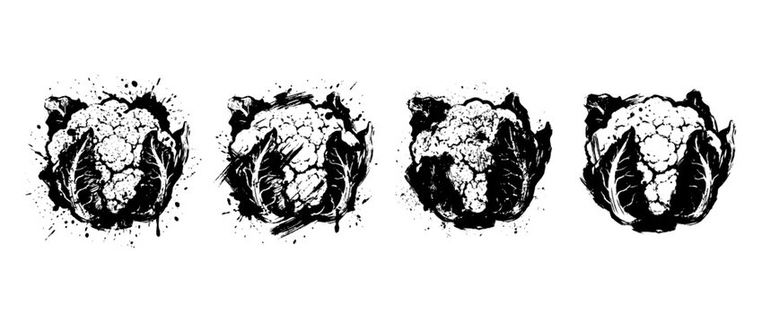 cauliflower , Grunge brush distressed paint splatter vector set 