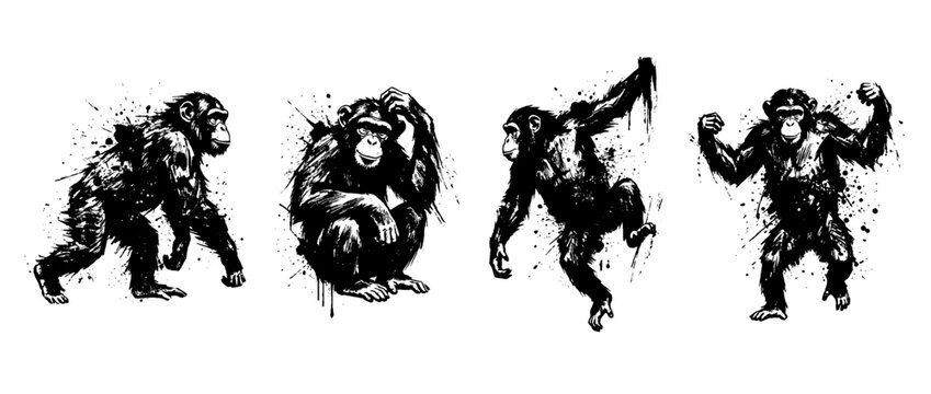 chimpanzee , Grunge brush distressed paint splatter vector set 