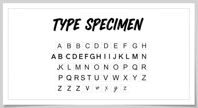 Alphabet Type Specimen Display Board.