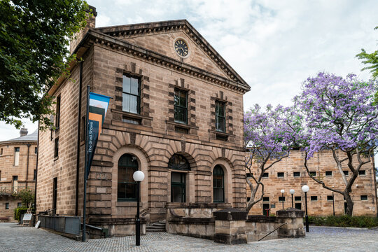 Jacaranda trees bloom at the National Art School as the NSW Parliament accepts public submissions for its formal inquiry into the structure and funding of the state&rsquo;s arts sector, Sydney, November 202