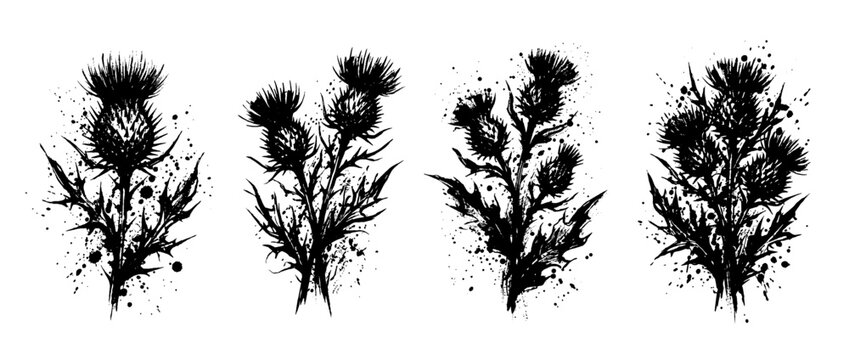 thistle , Grunge brush distressed paint splatter vector set 