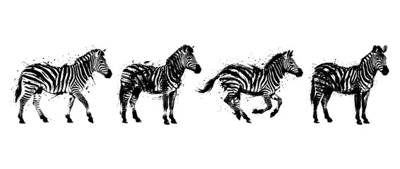 Obraz premium zebra , Grunge brush distressed paint splatter vector set 