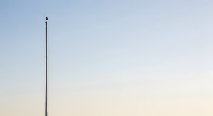 Obraz premium A minimalistic shot of a solitary bird perched atop a tall pole against a gradient sky