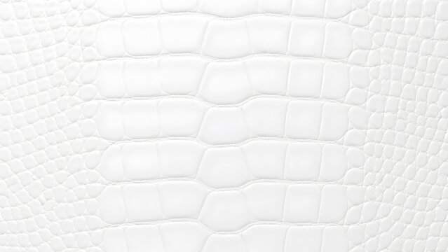 Elegant white crocodile skin texture with a luxurious and sophisticated feel