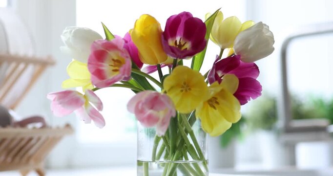 Beautiful tulips in vase on countertop in kitchen. Camera moving forward