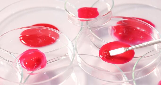 Biochemistry. Stirring laboratory sample with spatula in petri dish at table, closeup