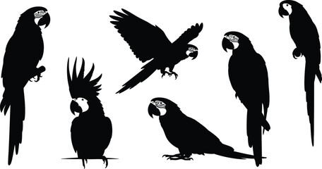 Macaw parrot silhouette collection a variety of poses and views © Jobax
