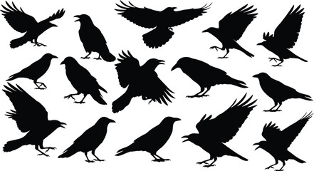 Obraz premium Flock of black birds in flight a silhouette collection