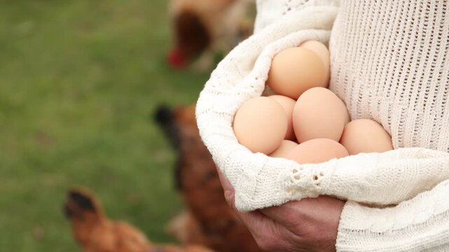 Woman with fresh chicken eggs at poultry yard, closeup