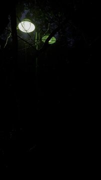 Park lantern glowing at night with light rain and silhouette trees