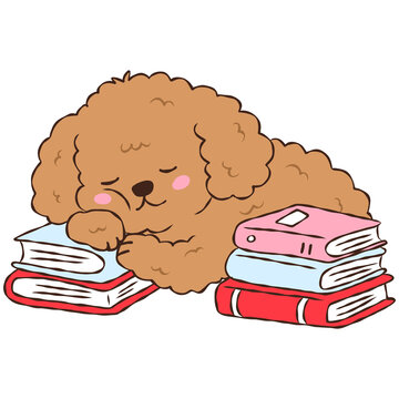 Cute Brown Poodle Puppy Sleeping on Stack of Books, Adorable Curly Dog Reading and Study Illustration