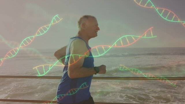 Senior man jogging along sea path sunrise spurring wrist tracking while DNA helix overlaying runner