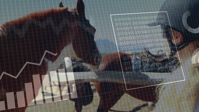 Child rider reaching and holding horse in equine paddock starting HUD analysing and growing charts