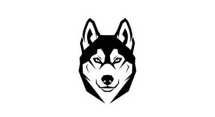 Black and white husky dog face. © Ruhi
