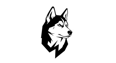 Black and white husky dog head 1. © Ruhi