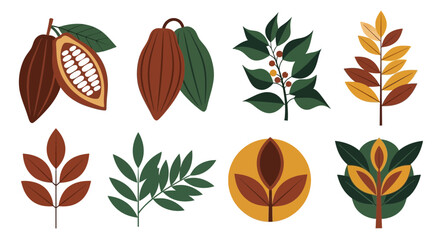 Fototapeta premium A mid-century botanical set of vector leaves and cocoa pods