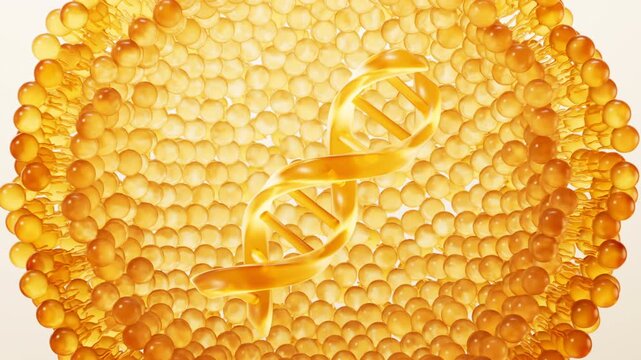 DNA and transparent golden bilayer membrane structure, 3d rendering.