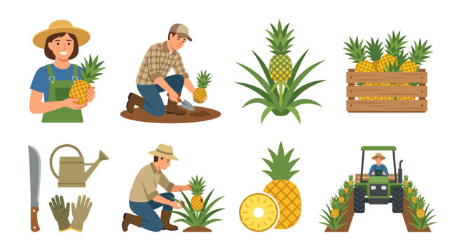 Cartoon farmers harvesting and tending to pineapples in various activities