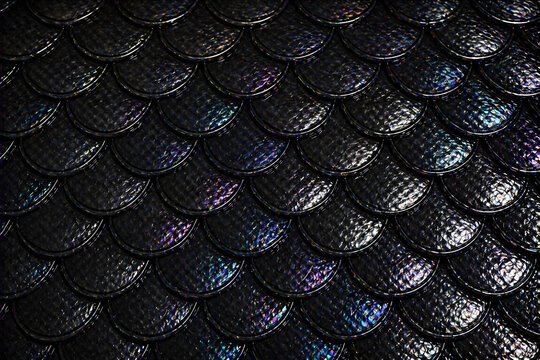 Dark iridescent scales pattern with a shimmering, reflective surface