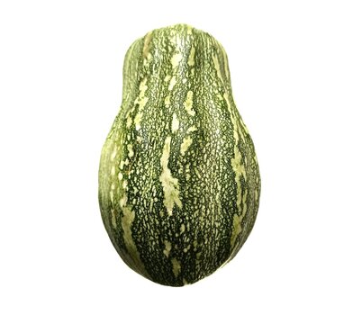Fresh squash cucurbita pepo ayote calabacita summer isolated on white background