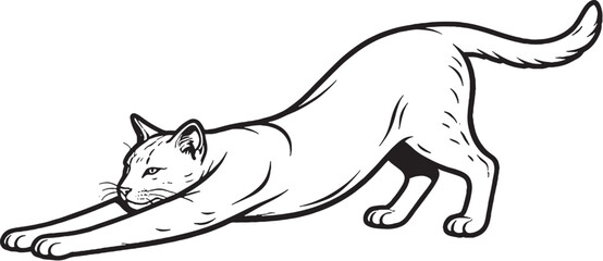 Ocicat cat stretching forward line art, feline stretch pose illustration, black white cat vector, side view domestic cat drawing © chien