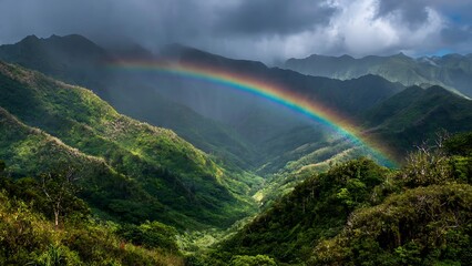 Naklejka premium Rainbow appears over lush Hawaii valley after rain in tropical mountains