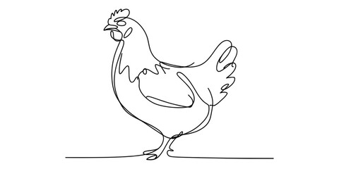 Simple one line drawing of a chicken standing in a minimalist continuous art style Vector, illustration © Kanu Art_Gallery