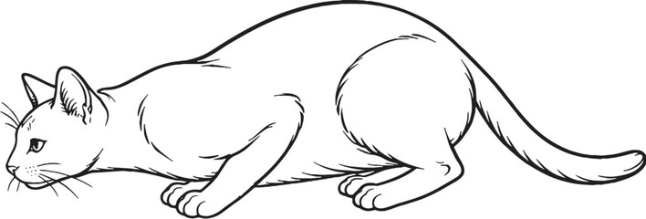 Korat cat pouncing crouch line art black and white feline hunting posture illustration isolated © chien