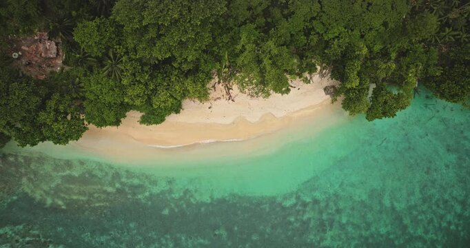 Pristine white sand beach meeting clear turquoise ocean water, framed by lush green tropical forest on remote Lata island in the Solomon Islands. Wild nature scene. Aeria top downvuew zoom in panorama