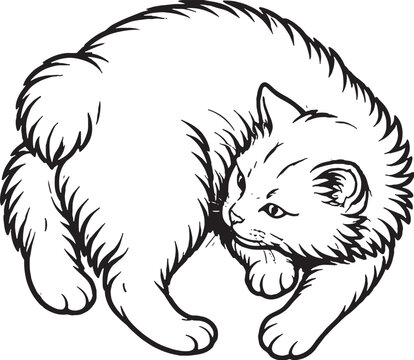 Cymric cat chasing rump playful spinning pose fluffy tailless cat black and white line art illustration