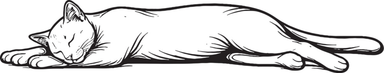 Bombay cat sleeping stretched out line art black and white vector isolated relaxed feline illustration © chien