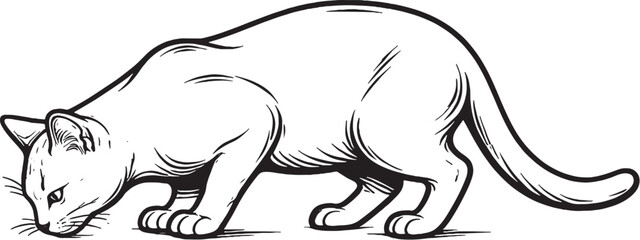 Bombay cat drinking posture line art black and white vector isolated feline drinking behavior illustration © chien