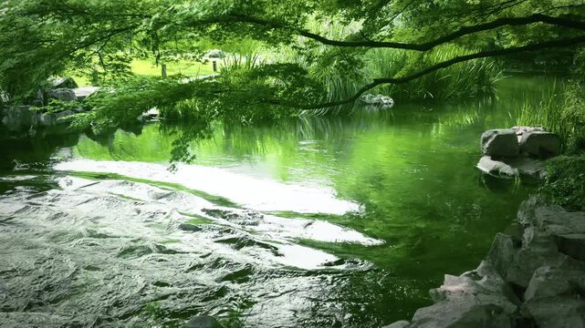 Natural stream with green water and stone banks