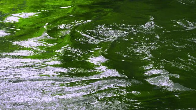 Waves on green lake water surface