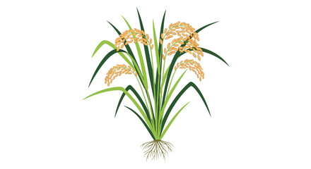 Fototapeta premium Rice plant illustration, healthy green stalks, golden grains, isolated on white