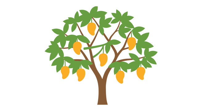 Ripe Mango Tree with Green Leaves and Yellow Fruits