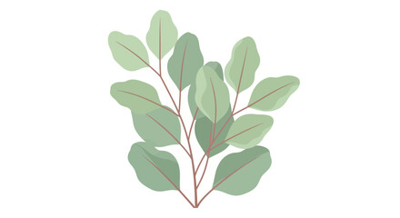 Soft Green Eucalyptus Leaves Branch Isolated on White Background, Minimalist Botanical Art © Surya