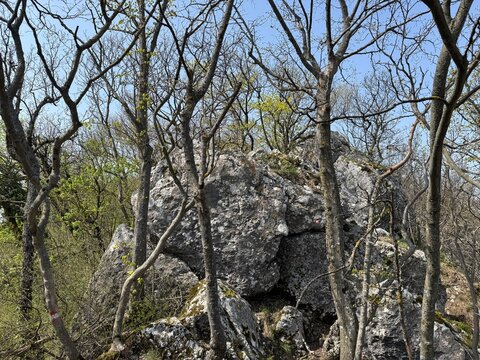 The 7 Teeth Hiking Trail on Mount Kalnik or the marked Seven Teeth Trail in the significant landscape of Kalnik, Croatia (Planinarska staza 7 zubi na planini Kalnik ili markirana staza sedam zuba)