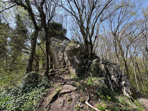 The 7 Teeth Hiking Trail on Mount Kalnik or the marked Seven Teeth Trail in the significant landscape of Kalnik, Croatia (Planinarska staza 7 zubi na planini Kalnik ili markirana staza sedam zuba)