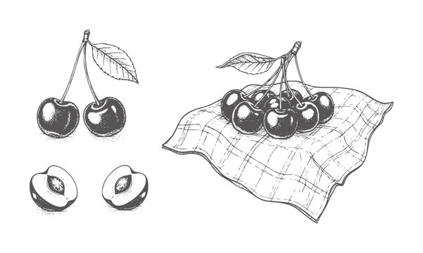 Hand drawn cherries and halved plums checkered cloth cherry fruit food vintage