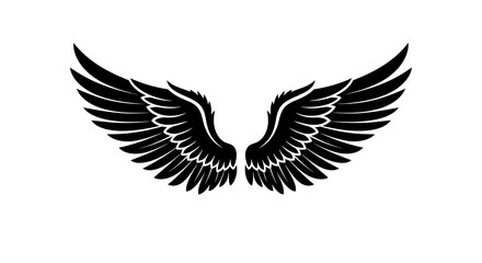 Obraz premium A detailed illustration of outstretched wings showcasing feathers and wingspan in a graphic design.