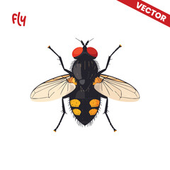 Fototapeta premium Detailed House Fly with Yellow Spots Vector Illustration Isolated on White Top View of Flying Insect for Nature and Science Design Projects Professional Pest Graphic Element for Education