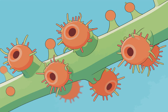 Illustration of Plant with Orange Fungus Structures