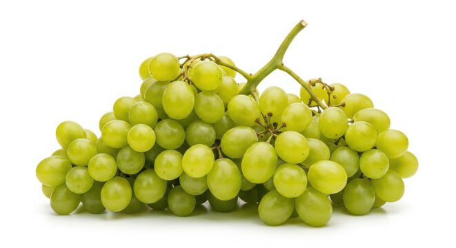 Fresh green grapes on vine, ripe white grape cluster for healthy snacking, organic seedless grapes bunch for wine and fruit salad isolated on White Background
