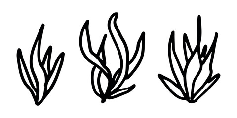 Fototapeta premium Hand drawn sea coral and seaweed doodle set Tropical underwater flora, aquarium plants, ocean plant, algae, coral reef, leaves, branches