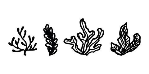 Obraz premium Hand drawn sea coral and seaweed doodle set Tropical underwater flora, aquarium plants, ocean plant, algae, coral reef, leaves, branches