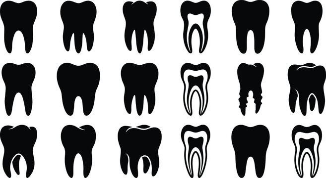Collection of various human tooth silhouettes including molar bicuspid and anatomical cross section icons isolated on white background for dental healthcare graphic designs.