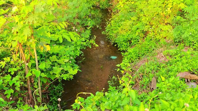 Irrigation canals, sluice gates